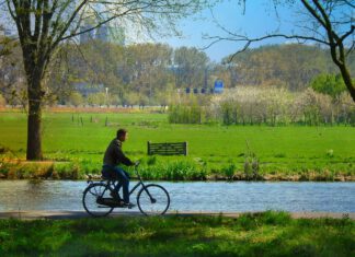 Dlaczego regularny ruch jest kluczowy? Dlaczego regularny ruch jest kluczowy?