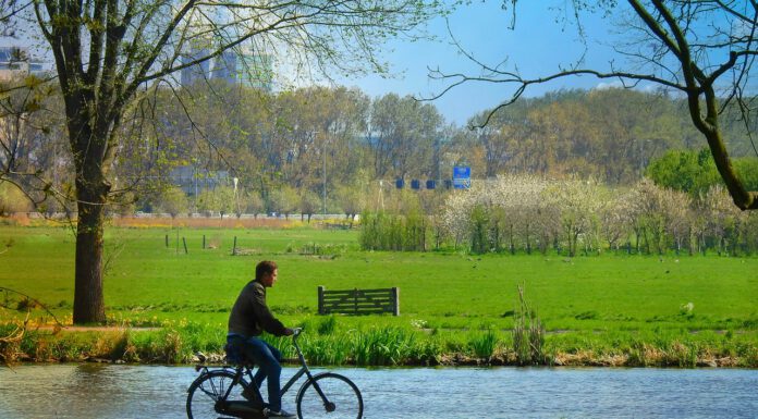 Dlaczego regularny ruch jest kluczowy? Dlaczego regularny ruch jest kluczowy?