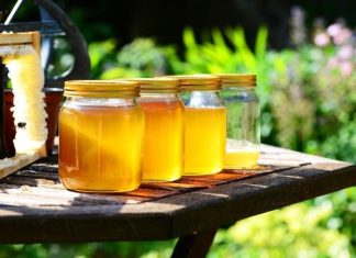 Miód jest podrabiany o wiele częściej niż myślisz. Jak rozpoznać fałszywy produkt z dodatkiem cukru? Nowe przepisy mogą to ułatwić