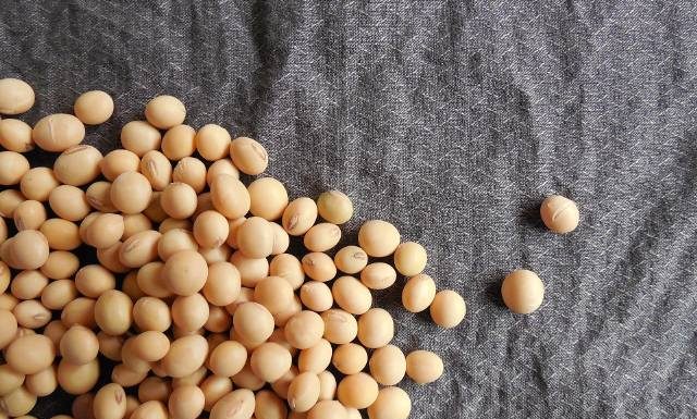 Czym może skutkować niedobór żelaza? Te produkty są bogate w żelazo 13.03.2024