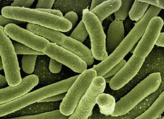 Medycy biją na alarm: nastąpił gwałtowny wzrost pewnych chorób w Europie