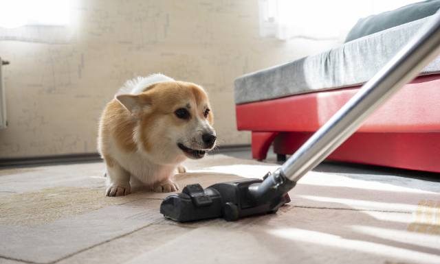 Robisz wiosenne porządki w domu? Uważaj na niebezpieczne miejsca, które mogą szkodzić zdrowiu