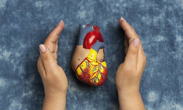 QUIZ: co wiesz o swoim sercu? Dasz radę zdobyć 10/10 punktów? Rozwiąż nasz test i przekonaj się, jaki jest poziom twojej wiedzy