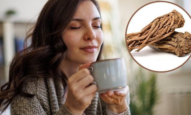 „Kobiecy żeń-szeń” wspomaga zdrowie pań. Łagodzi kobiece dolegliwości, wycisza, reguluje cykl. Na co działa dzięgiel chiński?