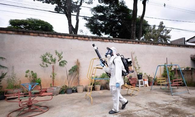 Denga dziesiątkuje Amerykę Południową i zaczyna zagrażać pozostałym kontynentom