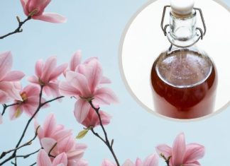 Piękne kwiaty tuż-tuż. Zrób z nich leczniczą nalewkę. Ma działanie antyhistaminowe i łagodzi alergię. Poprawia też nastrój i sen