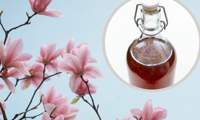 Piękne kwiaty tuż-tuż. Zrób z nich leczniczą nalewkę. Ma działanie antyhistaminowe i łagodzi alergię. Poprawia też nastrój i sen