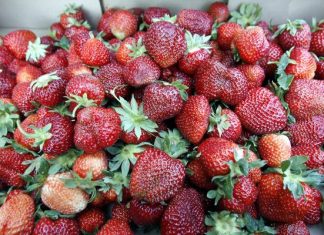 Nowe ostrzeżenie GIS 19.03.2024! o produktach wycofanych z dyskontów POLOmarket, Lidl, ALDI, Kaufland, Biedronka, Netto, Auchan 19.03.2024