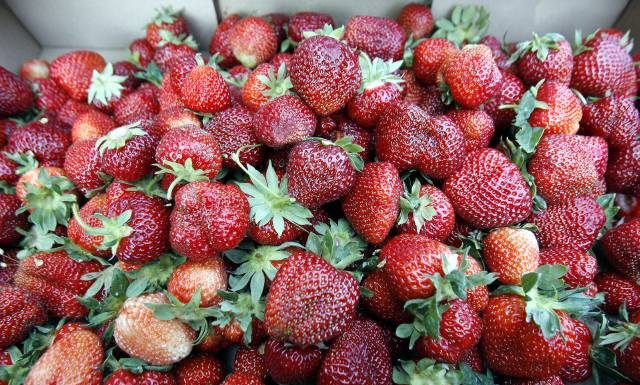 Nowe ostrzeżenie GIS 19.03.2024! o produktach wycofanych z dyskontów POLOmarket, Lidl, ALDI, Kaufland, Biedronka, Netto, Auchan 19.03.2024