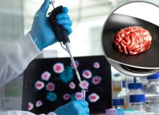 Zjadali ciała zmarłych i sami umierali. Rytuał wywołał epidemię śmiertelnej choroby kuru. Tak kanibalizm wpływał na… szukanie żon