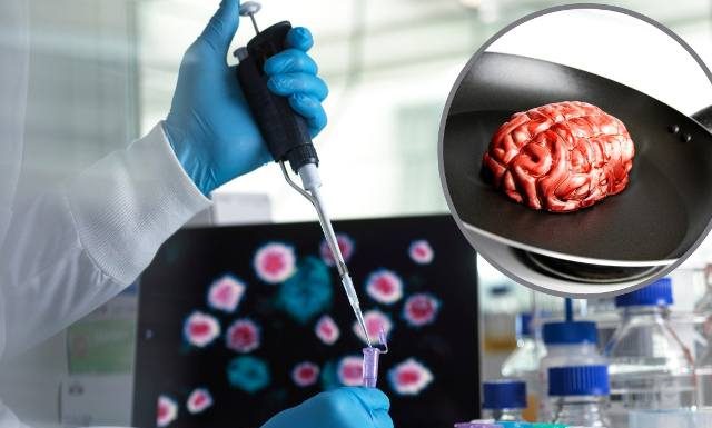 Zjadali ciała zmarłych i sami umierali. Rytuał wywołał epidemię śmiertelnej choroby kuru. Tak kanibalizm wpływał na… szukanie żon