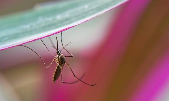 Tysiąc przypadków tygodniowo w jednym mieście. Dramatyczna sytuacja w Angoli. Ta choroba ma największą śmiertelność wśród małych dzieci