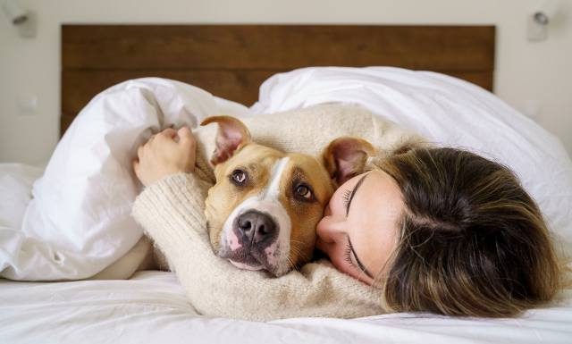 To ludzie częściej zarażają zwierzęta, a nie na odwrót. Te zakażenia mogą być dla dla nich śmiertelnie niebezpieczne