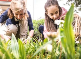 Wiosenne chwasty na talerzu. Te dzikie rośliny są smaczne i zdrowe, możesz jeść je nawet na surowo, żeby uzupełnić poziom witamin