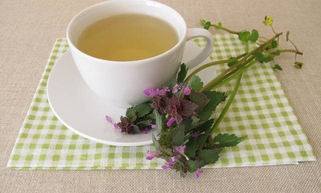 Ten leczniczy chwast rośnie właśnie na potęgę. Zamiast go tępić, wykorzystaj jego właściwości! Pomoże na ból głowy, niestrawność i wątrobę