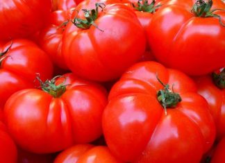 Pomidory – te osoby muszą na nie uważać. To dzieje się z naszym organizmem, gdy spożywamy pomidory
