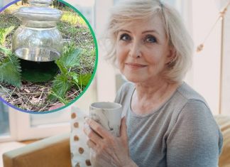 Wiosną darmowe kosmetyki są wszędzie. Wypróbuj przepis na tonik do twarzy na zmarszczki i wzmacniającą płukankę do włosów z pokrzywy