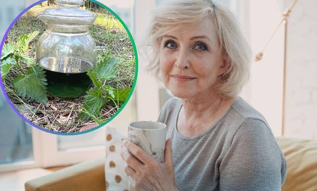 Wiosną darmowe kosmetyki są wszędzie. Wypróbuj przepis na tonik do twarzy na zmarszczki i wzmacniającą płukankę do włosów z pokrzywy