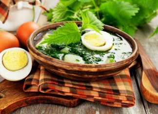 Zupa z pokrzywy na dwa sposoby. Która jest lepsza? Spróbuj obu na zdrowie. Zobacz przepisy i właściwości