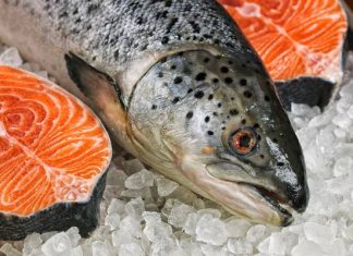 Wcale nie takie zdrowe. Ryby i owoce morza pełne „wiecznych chemikaliów” o działaniu jak hormony. Skażenie wód to problem globalny