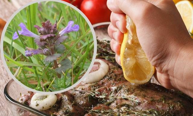 Dzika przyprawa do mięsa i darmowy składnik sałatki. To wszechobecne zioło odtruwa organizm. Zobacz, jak zrobić herbatkę i nalewkę