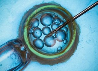 In vitro po polsku. Szerszy dostęp niż w wielu krajach, ale wyłącznie dla par. Zobacz szczegóły refundacji