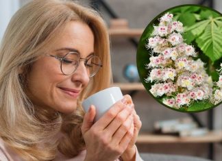 Niesamowite, że już kwitną. To darmowy lek na stawy, krążenie i żylaki. Herbatka z kwiatów kasztanowca zwalczy hemoroidy i reumatyzm