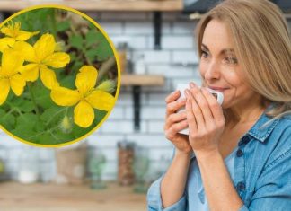 Tani i naturalny balsam dla jelit i skóry. Oczyszcza, odmładza, łagodzi stres. Kwas Bołotowa sprawi, że poczujesz się lekko