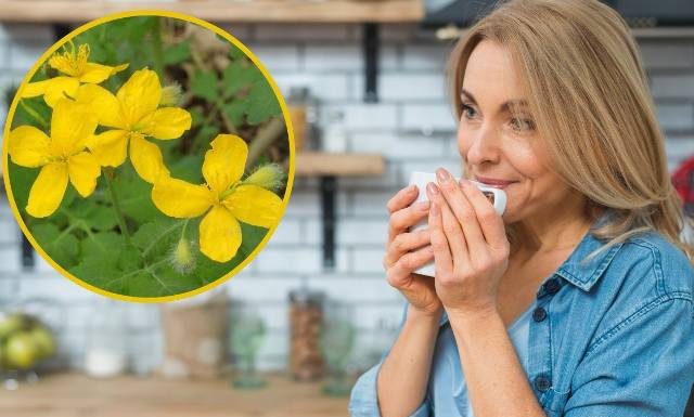 Tani i naturalny balsam dla jelit i skóry. Oczyszcza, odmładza, łagodzi stres. Kwas Bołotowa sprawi, że poczujesz się lekko