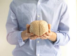 QUIZ: co wiesz o mózgu? 10/10 punktów zdobędą nieliczni