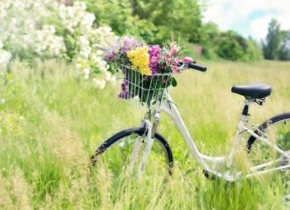 Jaki sport jest najlepszy, żeby schudnąć? W czasie majówki wybierz: rower, spacery lub pracę w ogrodzie i gub zbędne kilogramy