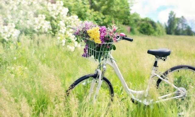 Jaki sport jest najlepszy, żeby schudnąć? W czasie majówki wybierz: rower, spacery lub pracę w ogrodzie i gub zbędne kilogramy