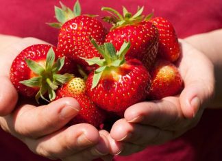 Kuszące, ale niebezpieczne. Po ich zjedzeniu groźne objawy pojawiają się na skórze i języku. Tak rozpoznasz uczulenie na truskawki