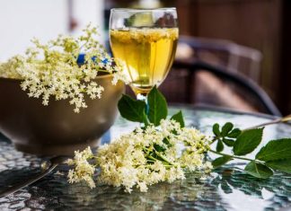 Nalewka z kwiatów czarnego bzu na niestrawność i wysoki cholesterol. Wypróbuj babciny przepis na leczniczy trunek
