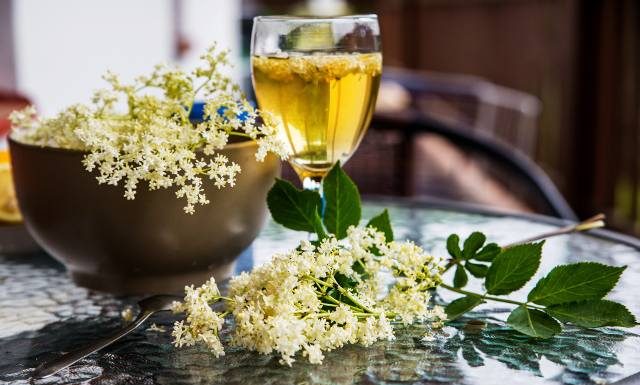 Nalewka z kwiatów czarnego bzu na niestrawność i wysoki cholesterol. Wypróbuj babciny przepis na leczniczy trunek