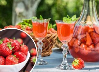 Owocowa uczta w kieliszku. Nastaw ją teraz i ciesz się jej smakiem jesienią. Wypróbuj babciny przepis na nalewkę z truskawek