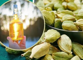 Odchudza, oczyszcza, poprawia nastrój. Możesz ją zrobić o każdej porze roku. Wypróbuj przepis na kardamonówkę