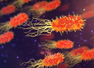 Przełom w walce z rakiem? Obiecujące wyniki szczepionki przeciwnowotworowej