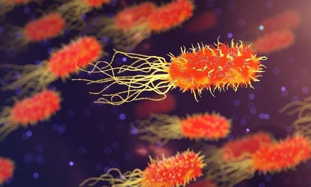 Przełom w walce z rakiem? Obiecujące wyniki szczepionki przeciwnowotworowej