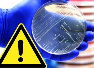 Śmiertelna bakteria w żywności dla dzieci. GIS wycofał produkt z Listerią, spożycie zagraża najbardziej właśnie najmłodszym