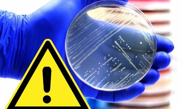 Śmiertelna bakteria w żywności dla dzieci. GIS wycofał produkt z Listerią, spożycie zagraża najbardziej właśnie najmłodszym