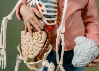 QUIZ: Czy wiesz o zdrowiu tyle ile 10-latek? Zrób test i sprawdź czy zdasz do 5 klasy