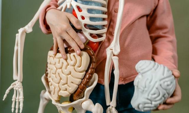 QUIZ: Czy wiesz o zdrowiu tyle ile 10-latek? Zrób test i sprawdź czy zdasz do 5 klasy