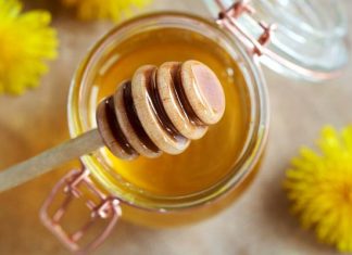 Miód majowy na problemy z trawieniem i odporność. Na co jeszcze pomoże miód z mniszka lekarskiego? Poznaj jego niezwykłe właściwości