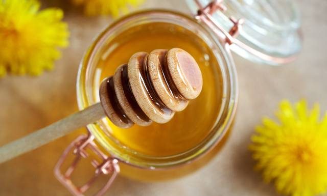 Miód majowy na problemy z trawieniem i odporność. Na co jeszcze pomoże miód z mniszka lekarskiego? Poznaj jego niezwykłe właściwości