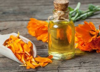 Ozdoba ogrodu i ziołowej apteczki na trawienie, ból gardła i rany. Wypróbuj prosty przepis na leczniczą nalewkę do picia, płukania i okładów