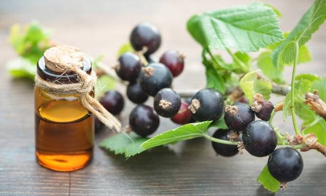 Do sałatki, deseru, na suchą skórę i zniszczone włosy. Ten olej leczy, odmładza i pielęgnuje. Wypróbuj na reumatyzm, AZS i alergię