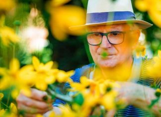 Na niebezpiecznego starca można trafić wszędzie. Uważaj na niego, bo jest toksyczny! Spotkanie z nim może skończyć się śmiercią