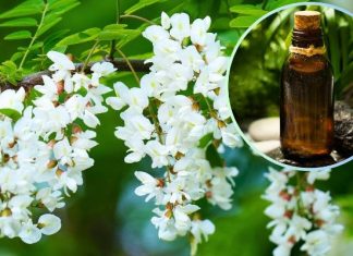 Na dnę moczanową, nadciśnienie i trawienie. Nie musisz czekać do wakacji. Kwiatową nalewkę zrobisz już teraz