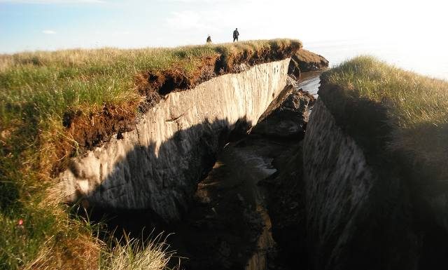 Czy wirusy zombie z Syberii zagrożą ludzkości? Winne jest globalne ocieplenie